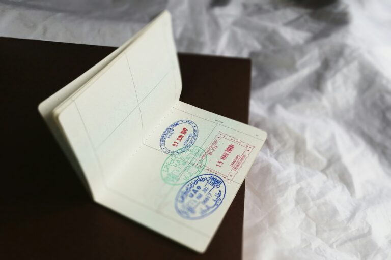 Cargo criminal estatus migratorio Michigan: consecuencias y defensa